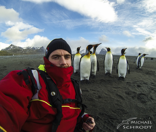 Südgeorgien Insel Königspinguine Reise nach Sandwichinseln