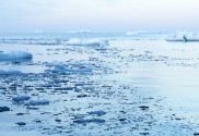 Antarktis Klimawandel