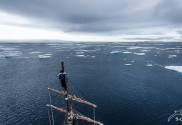 Polargebiet