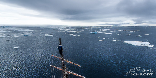 Polargebiet