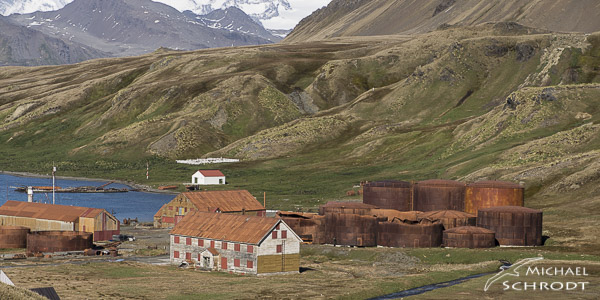 Süd Georgien Bildband