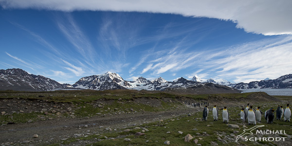 Südgeorgien Bildband